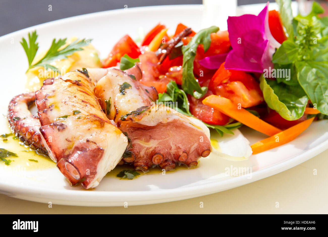 Bunten gebrannten Tintenfisch mit Salat Stockfoto