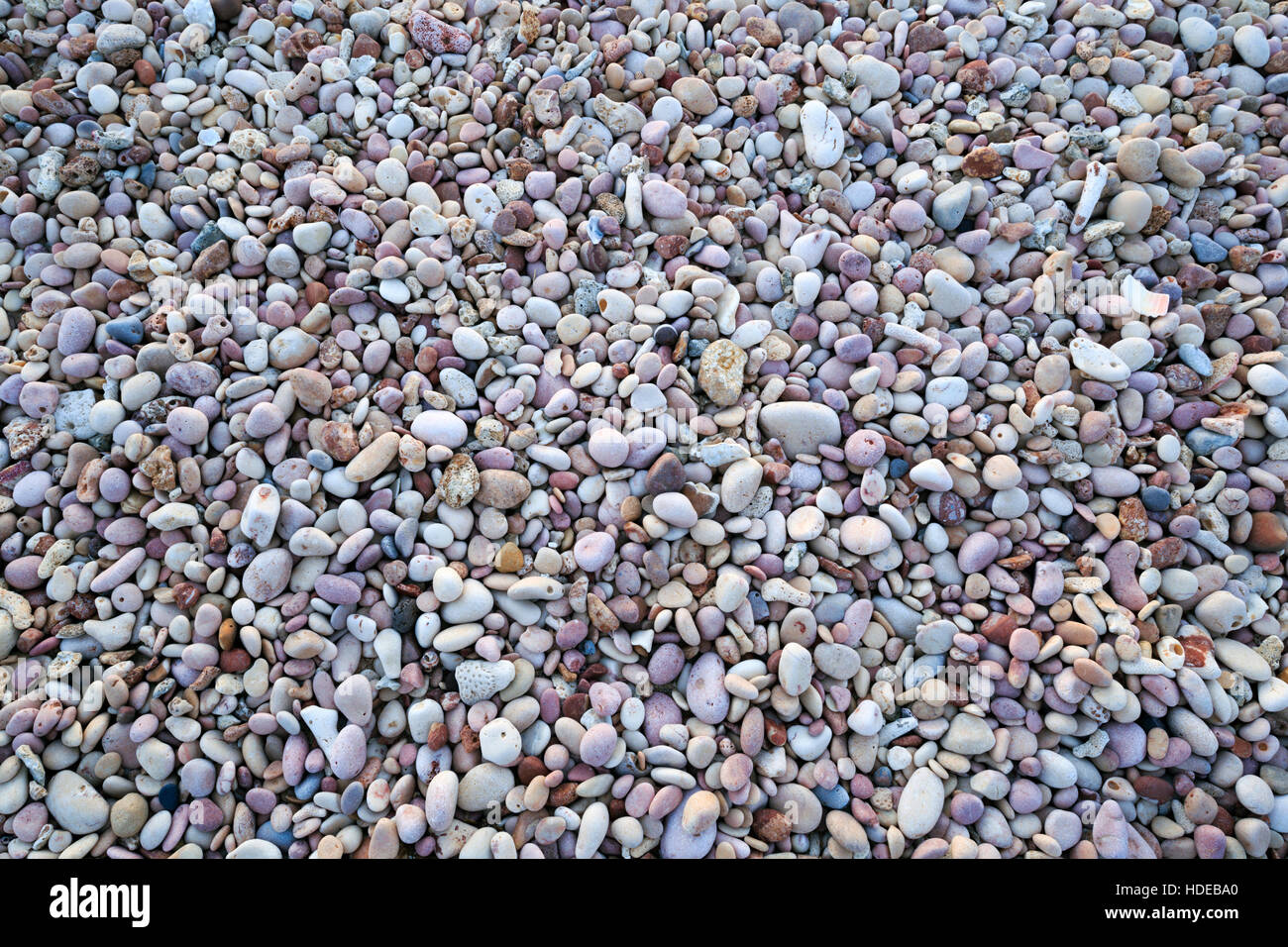 Kiesel Pebble Beach in Exmouth, Western Australia, Australia Stockfoto