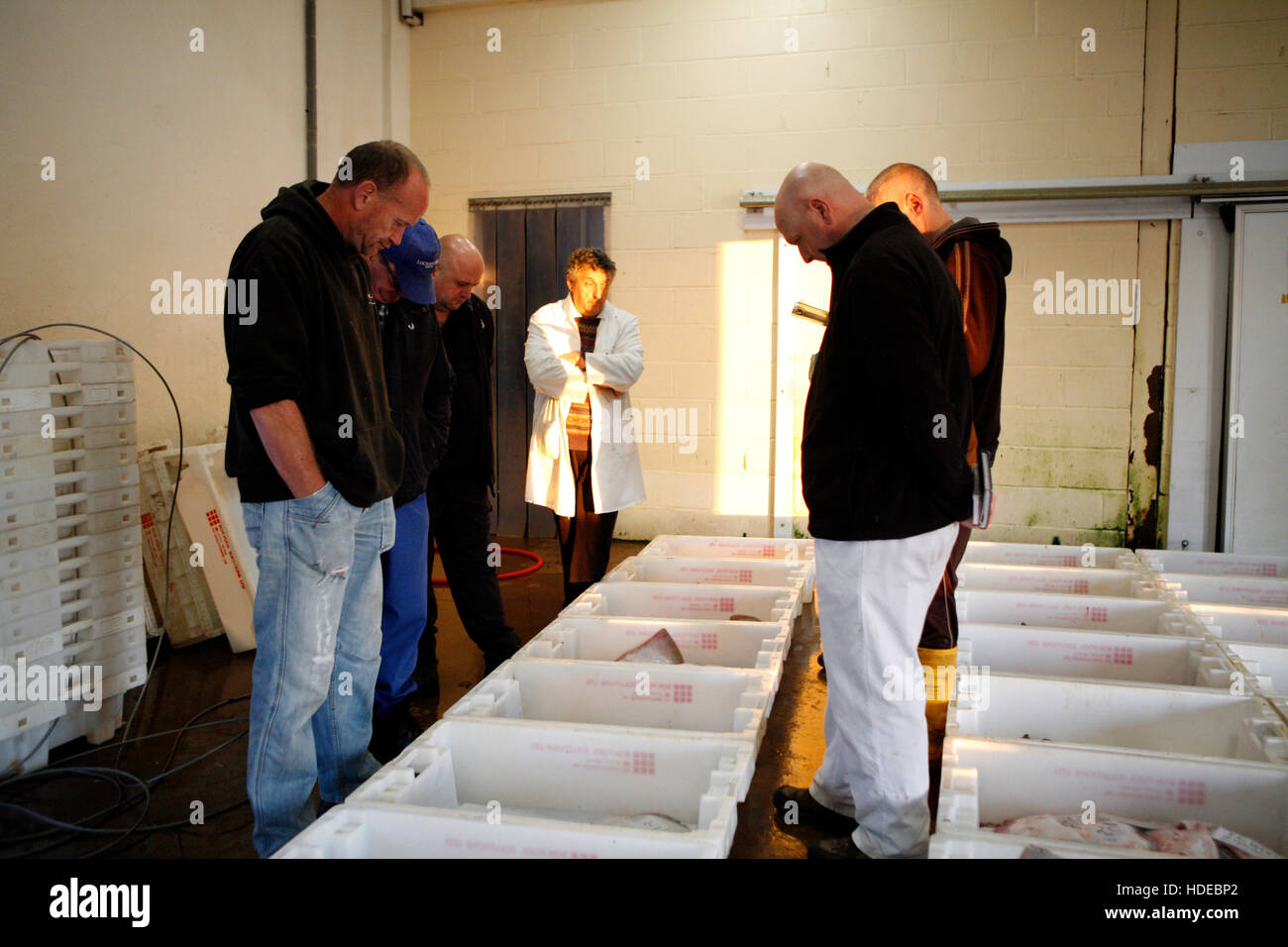 Scarborough Fisch Markt, North Yorkshire, UK. Stockfoto