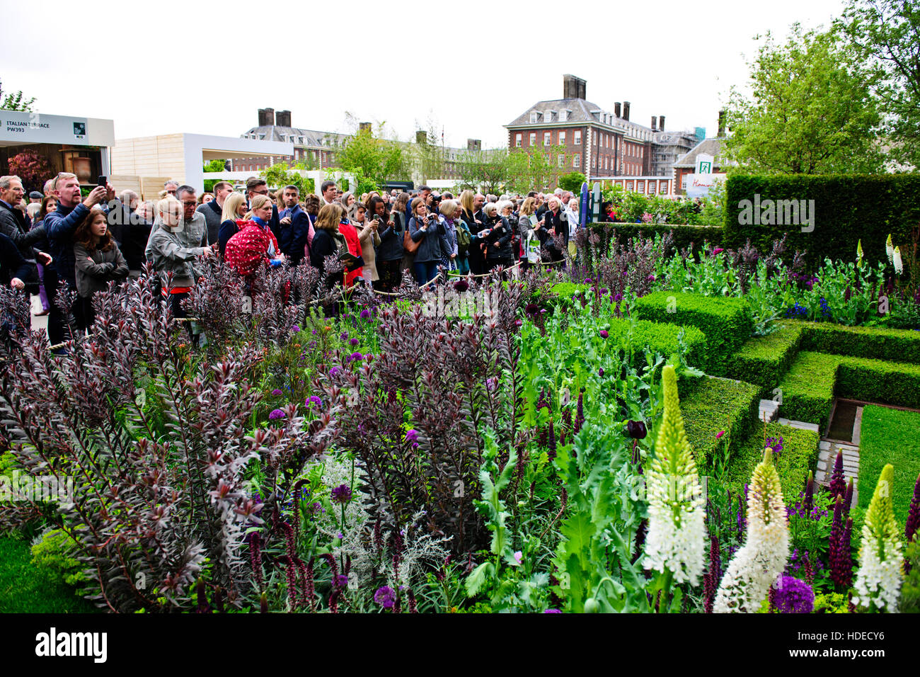 Chelsea Flower Show 2016, Husqvarna Garten von Melbourne, Australien, Blume, Skulptur, Gartengestaltung, 5-Tage-Ausstellung, London, UK Stockfoto