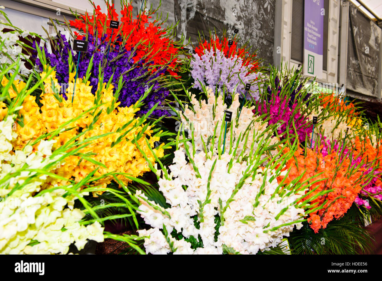 Chelsea Flower Show 2016, Fasan Hektar großen Pflanzen, Blume, Skulptur, Gartengestaltung, Ausstellung, fünf-Tages-Veranstaltung, London SW3, Großbritannien Stockfoto