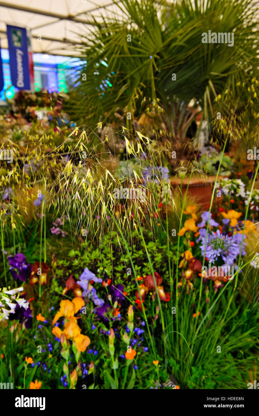 Chelsea Flower Show 2016, Kevock Gärten stehen, Blume, Skulptur, Garten Design, Ausstellung, fünftägige Veranstaltung, London SW3, Großbritannien Stockfoto