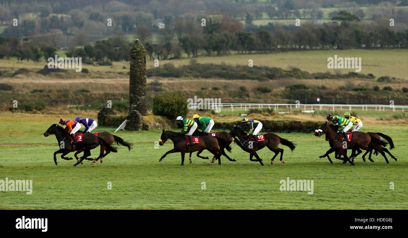 Einen Überblick über das Feld in der Folgen Sie uns auf Facebook und Twitter Handicap Hürde, während John Durkan Chase Gedenktag in Punchestown Raceocurse, Naas, County Kildare. Stockfoto