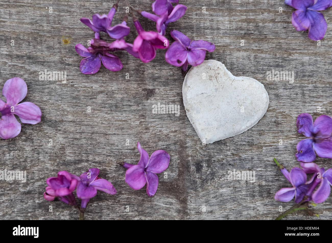 weißen Herzchen auf Holzbrett mit Blütenblättern von Flieder Stockfoto