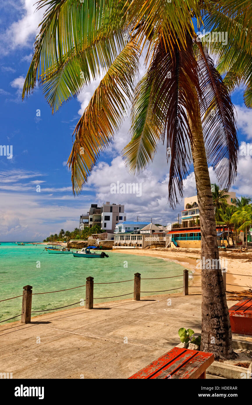 Strand von St. Lawrence Gap, Barbados, Karibik. Stockfoto