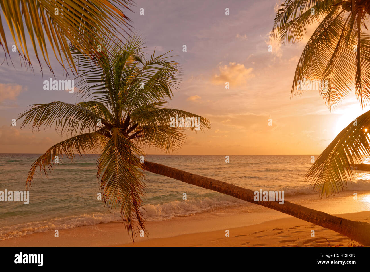Sonnenuntergang am Strand von Dover, St. Lawrence Gap, Südküste, Barbados, Karibik. Stockfoto