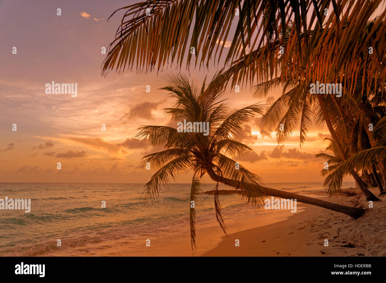 Sonnenuntergang am Strand von Dover, St. Lawrence Gap, Südküste, Barbados, Karibik. Stockfoto