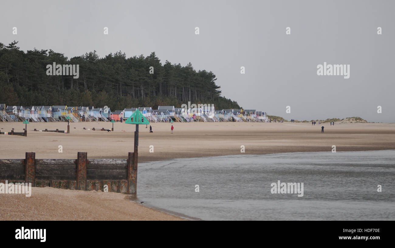 Pinien Webstuhl hinter hell gestrichenen Strand Hütten an einem düsteren, nebligen Tag am Strand. Wells-next-the-Sea, Norfolk, Großbritannien Stockfoto