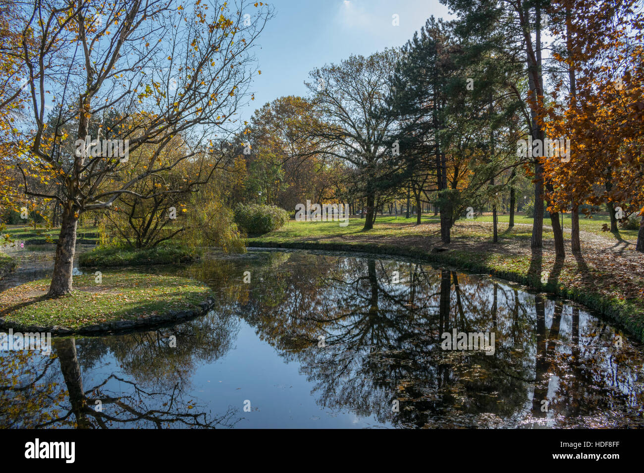 Reflexion der Bäume auf der Seeoberfläche im öffentlichen Park an der sonnigen Herbsttag Stockfoto