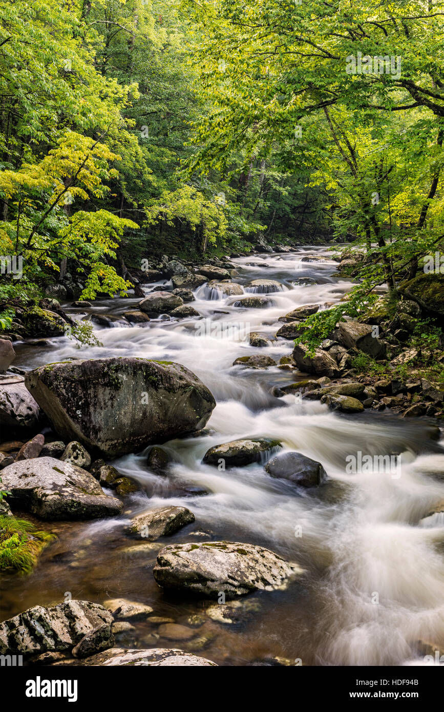 Mittlere Zinke Little River im Bereich Tremont der Great Smoky Mountains. Stockfoto