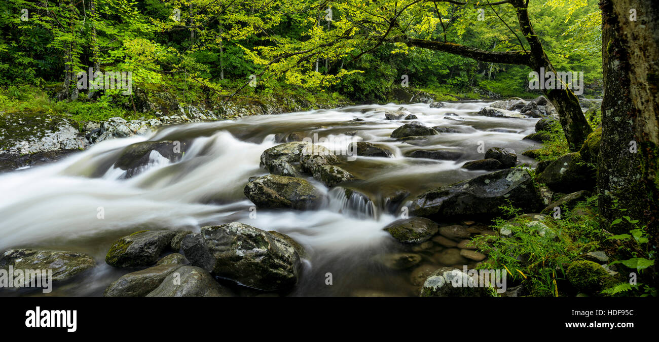 Mittlere Zinke Little River im Bereich Tremont der Great Smoky Mountains. Stockfoto