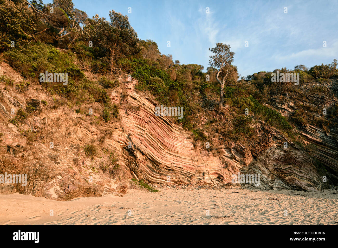 Stark gefaltete Ordovizium Sandsteine, Steinbruch Strand, Dalrymple, Victoria, Australien es ist Teil des Narooma Accretionary Complex und ist eine Seite von G Stockfoto
