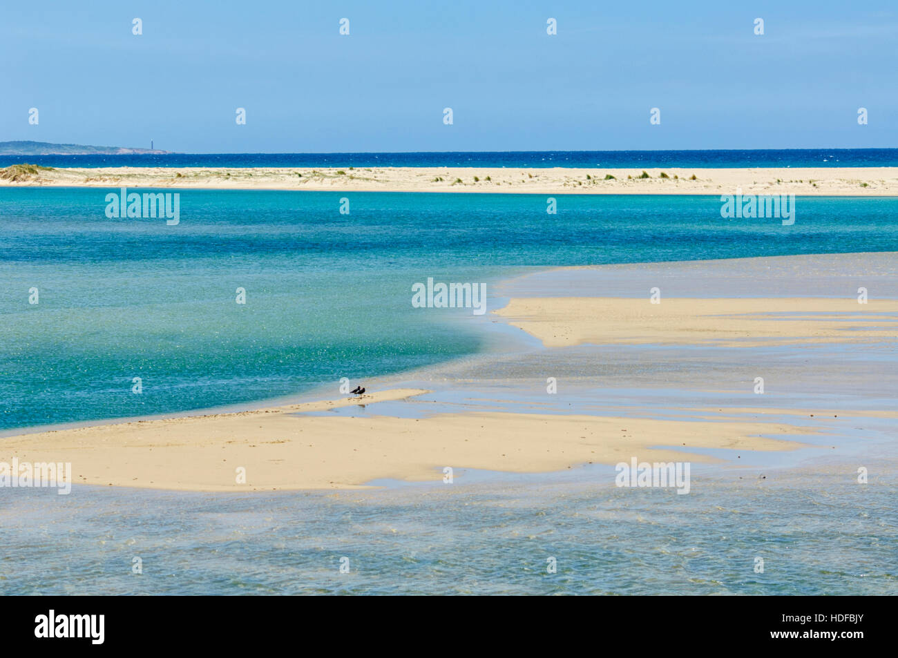 Mallacoota Inlet ist ein Ästuar- Lagune von Genua und Wallagaraugh Flüsse, Victoria, VIC, Australien zugeführt Stockfoto