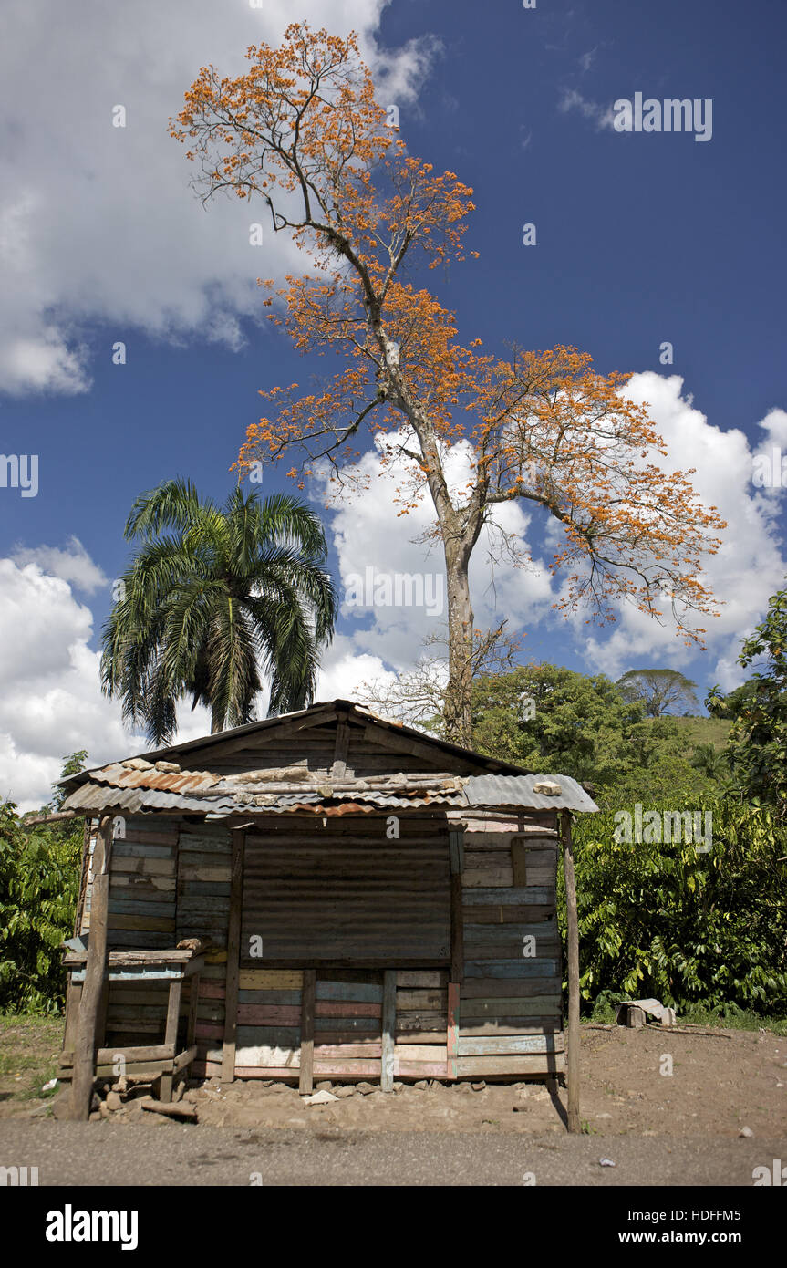 Hütte in der Nähe von Sabana De La Mar, Dominikanische Republik, Caribbean Stockfoto