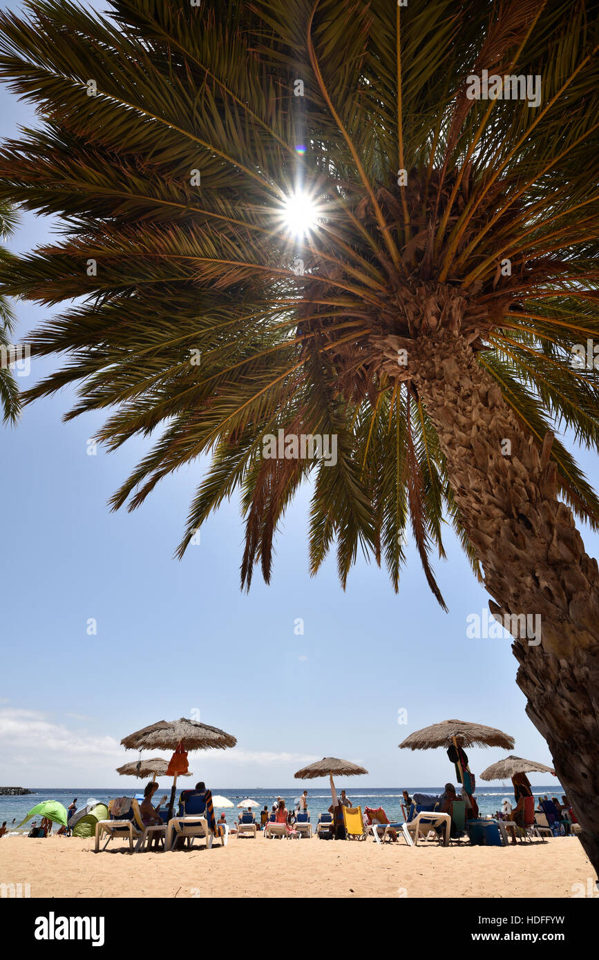 Urlauber, Strahlen Sonne durch Palme am Strand Playa de Las Teresitas, San Andres, Teneriffa, Kanarische Inseln, Spanien Stockfoto