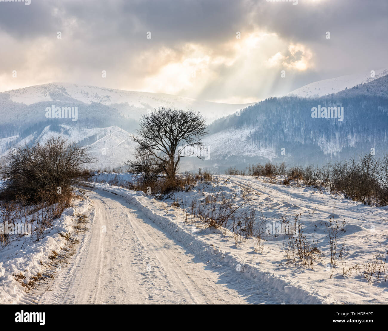 stürmische Winterhimmel über einsame Baum an der Straße am Berghügel Stockfoto