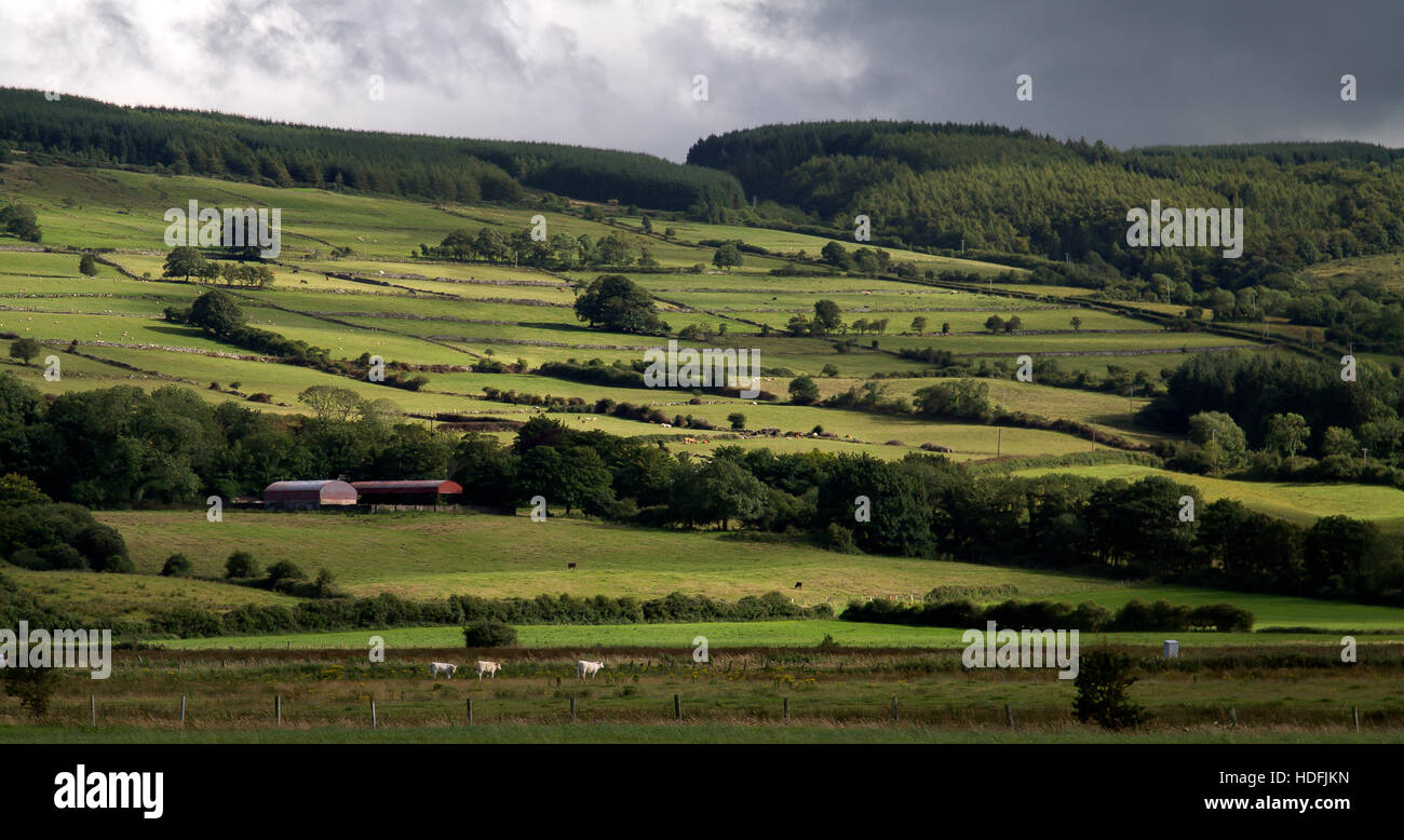 Irland-Land-Seite Stockfoto