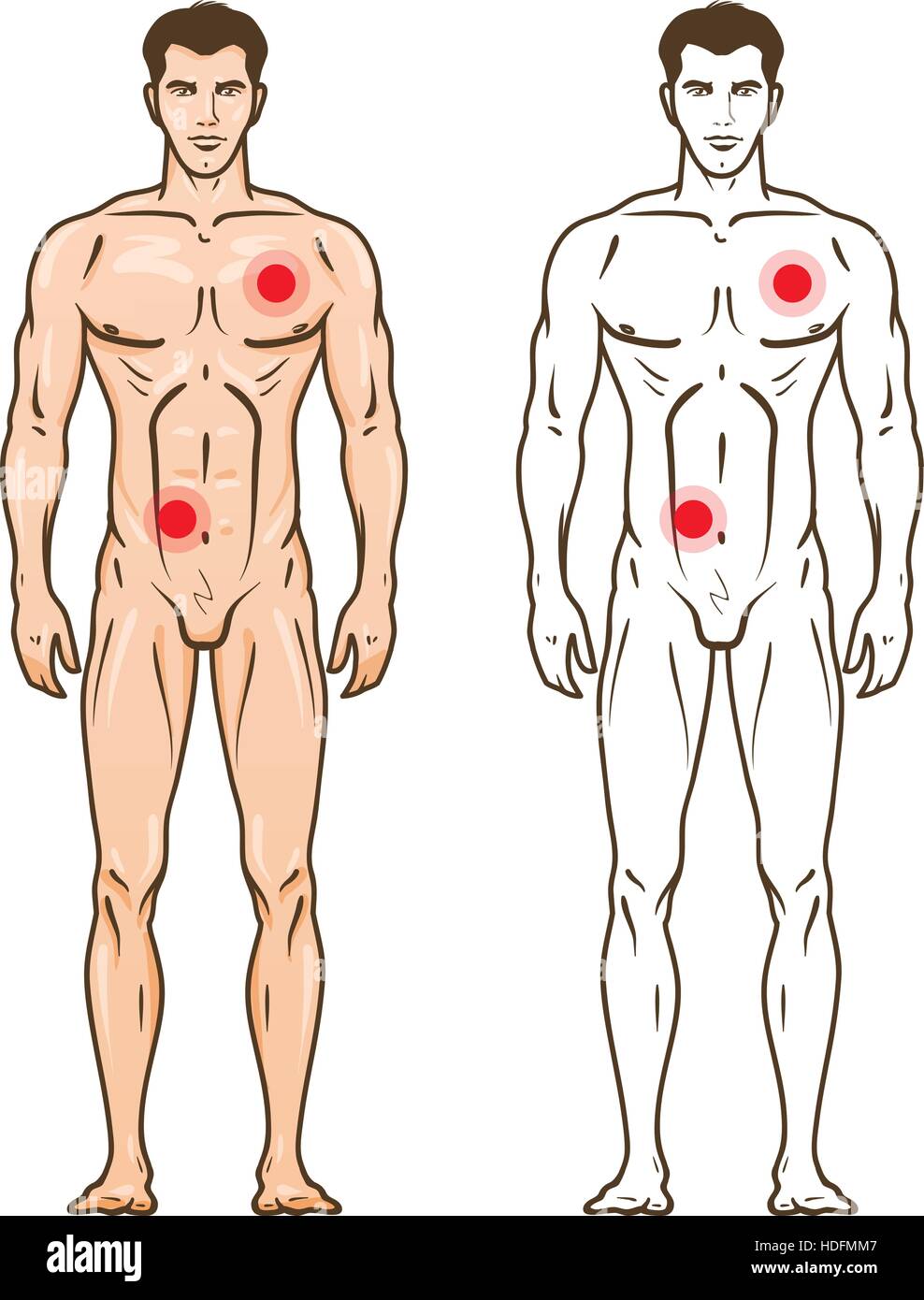 Mann-Silhouette mit Schwachstellen. Medizin-Infografik. Vektor-Illustration isoliert auf weißem Hintergrund Stock Vektor