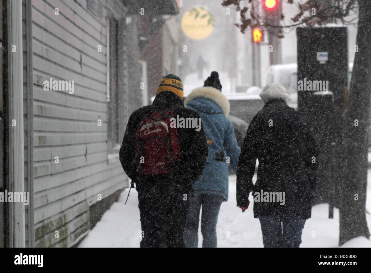 Halifax, Kanada. 12. Dezember 2016. Starke Winde und schwere Schnee schlagen Innenstadt von Halifax, N.S., 12. Dezember 2016. Bildnachweis: Lee Brown/Alamy Live-Nachrichten Stockfoto