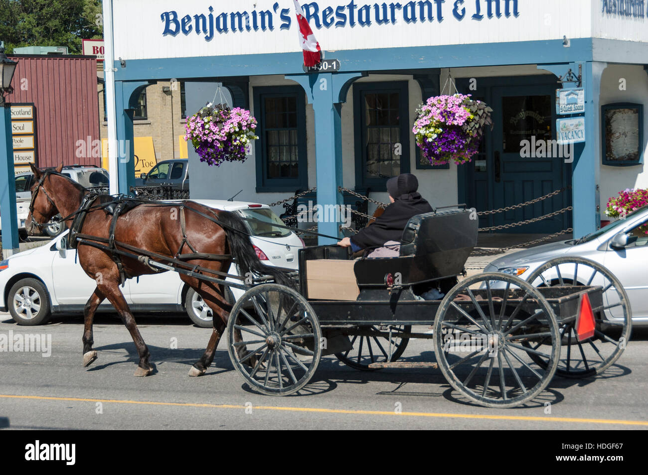 Kanadische Städte: mennoniten fahren tagsüber mit einem Pferdewagen durch die Straßen der Stadt Fergus, Ontario, Kanada. Stockfoto