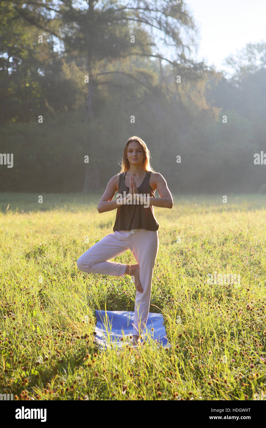 Morgen Yoga im Park, Frau Stockfoto
