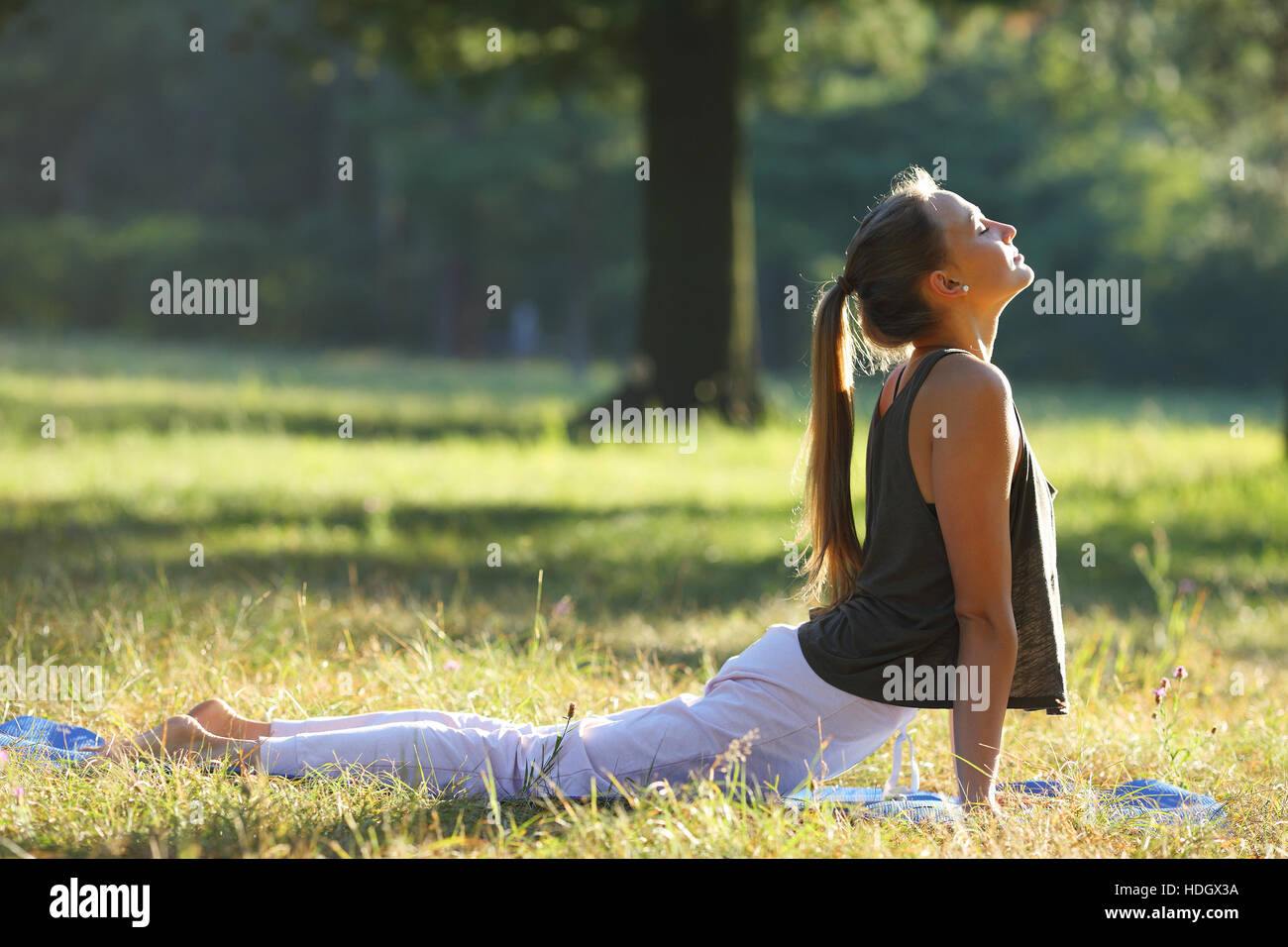 Yoga-Frau tun, Frühsport, gesunde Frau Stockfoto