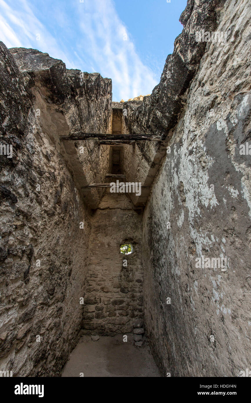 Maya-Zivilisation Ruinen in Tikal National Park, Guatemala, ein UNESCO-Weltkulturerbe.  Mundo Perdido oder Lost World Komplexes.  Detail zeigt die co Stockfoto