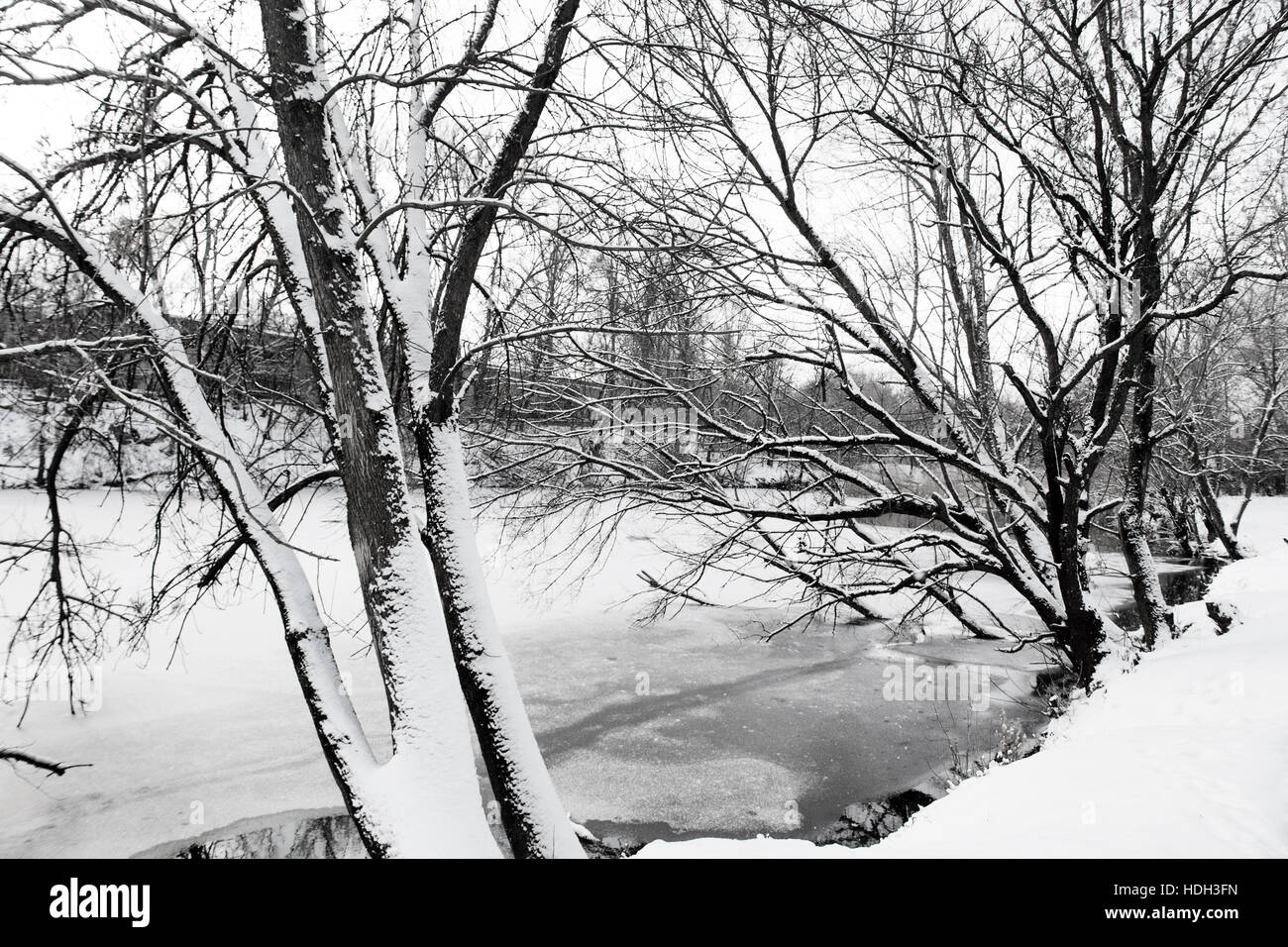 Winterlandschaft des verschneiten Bäumen und Fluss Stockfoto