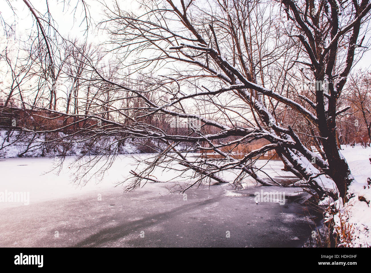 Winterlandschaft des verschneiten Bäumen und Fluss Stockfoto