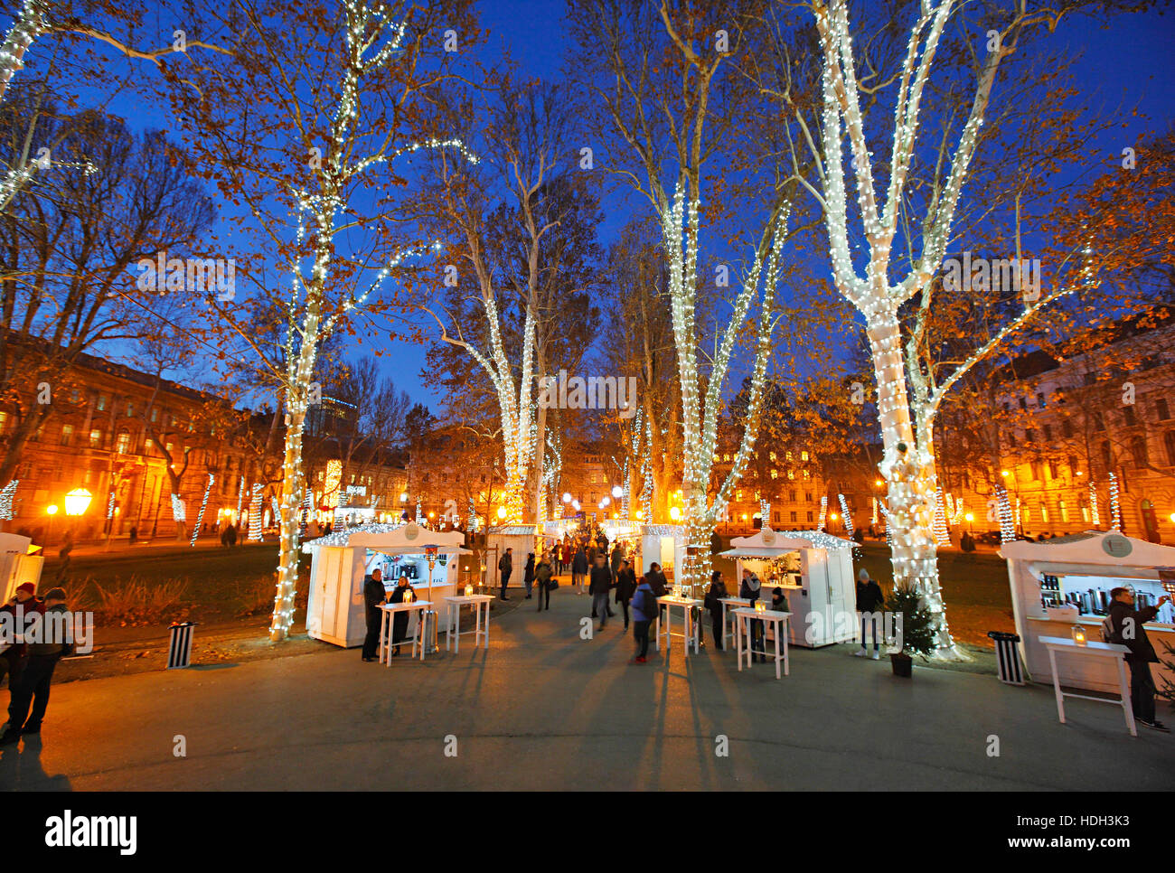 Beleuchtete Bäume auf Zrinjevac Park in der Weihnachtszeit in Zagreb Stadt Stockfoto