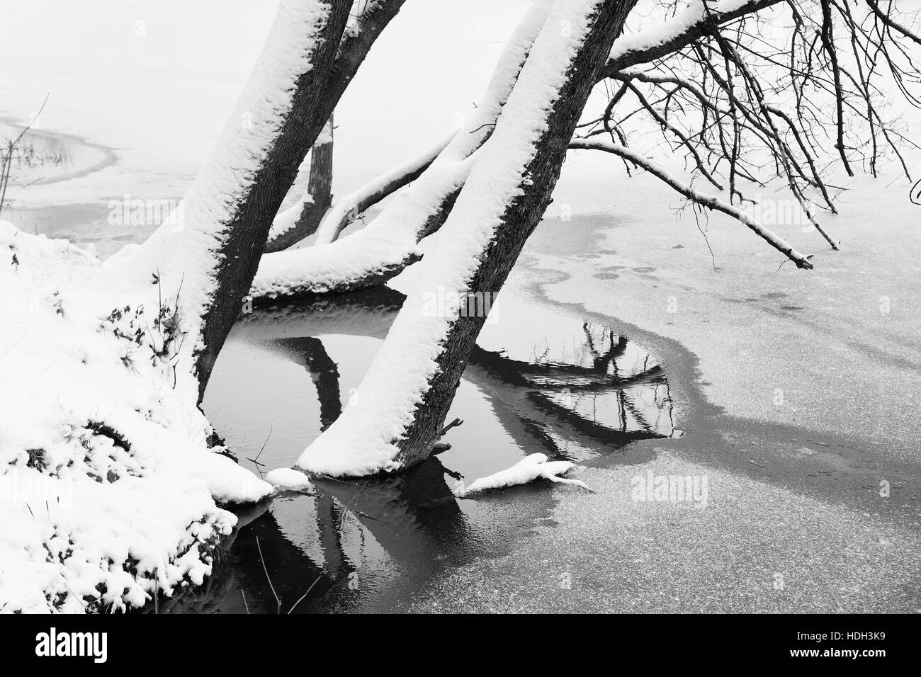 Foto von verschneiten Bäumen und Fluss. Stockfoto