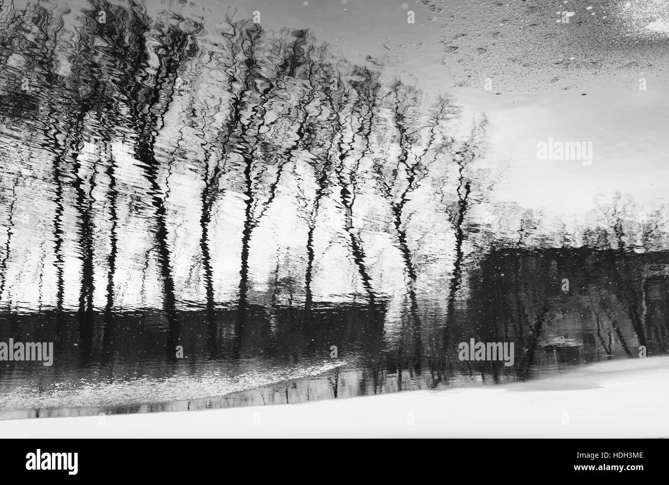Abstrakte Bäume Reflexion im Fluss. Winterzeit. Schwarz / weiß Foto. Stockfoto