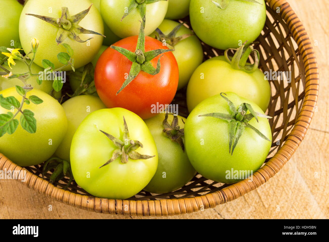 Grüne Tomaten in einem Weidenkorb auf einem Holztisch Stockfoto