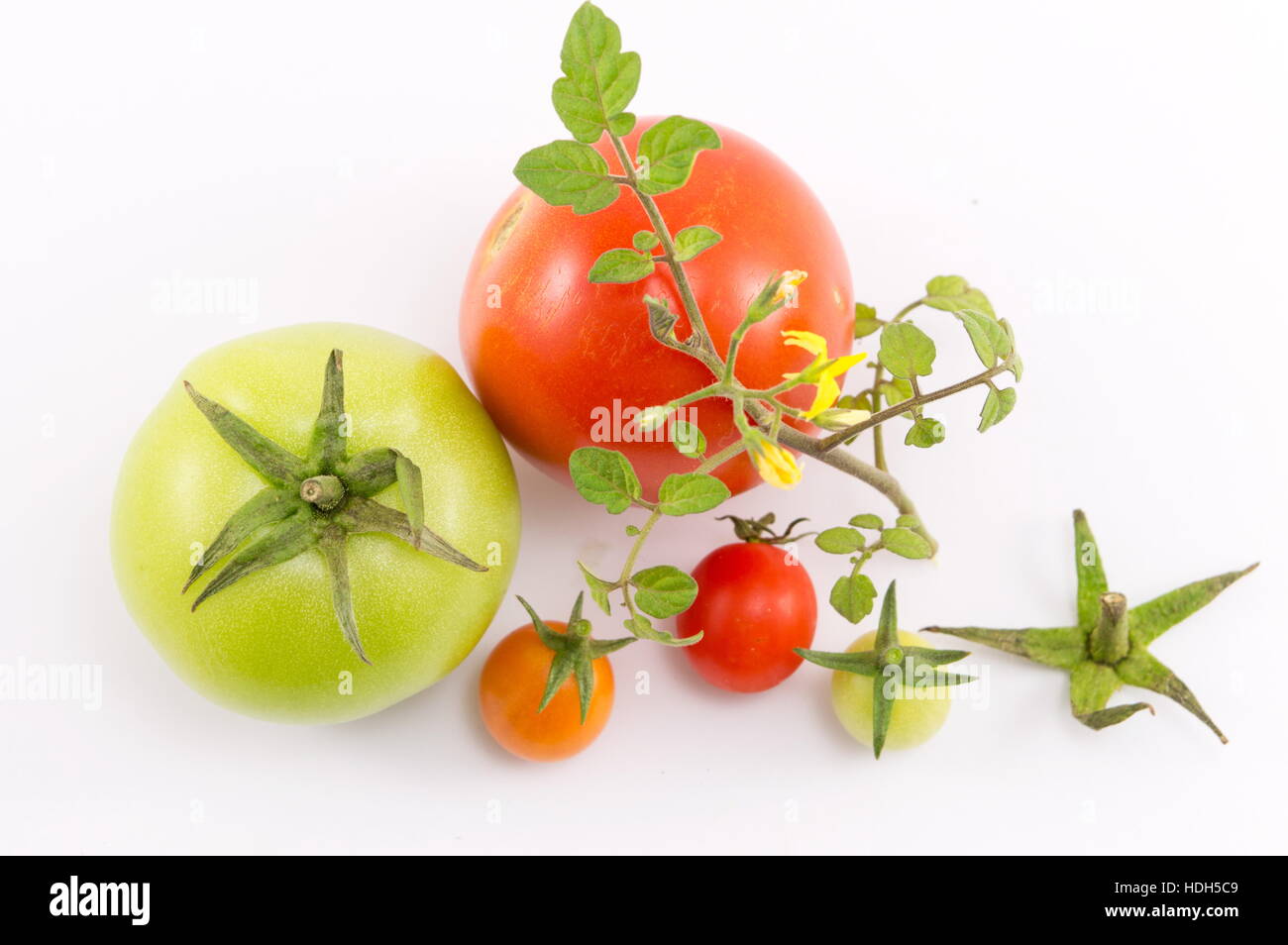 Grüne und rote Tomaten und Blätter auf weißem Hintergrund Stockfoto