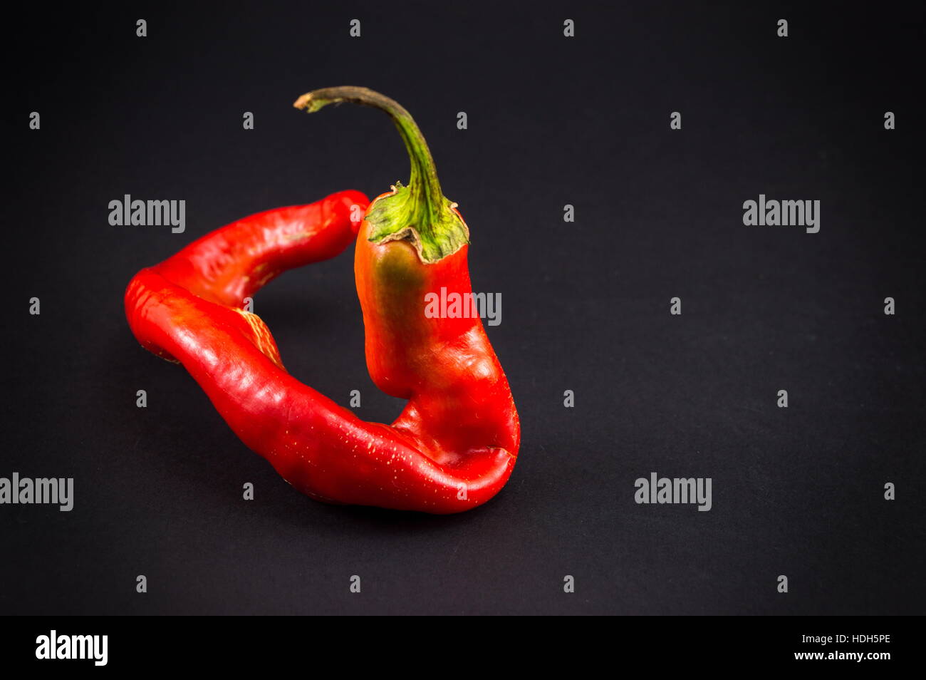 Rote Paprika auf dunklem Hintergrund mit vignette Stockfoto