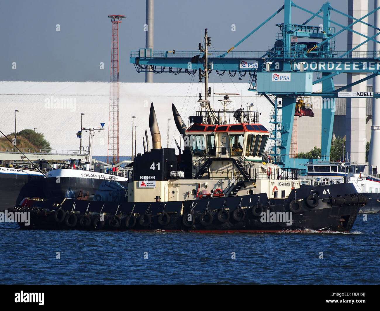 41 (Schlepper, 2012) IMO 9602100 ENI 06105320 am Kai vor der Berendrechtlock Stockfoto