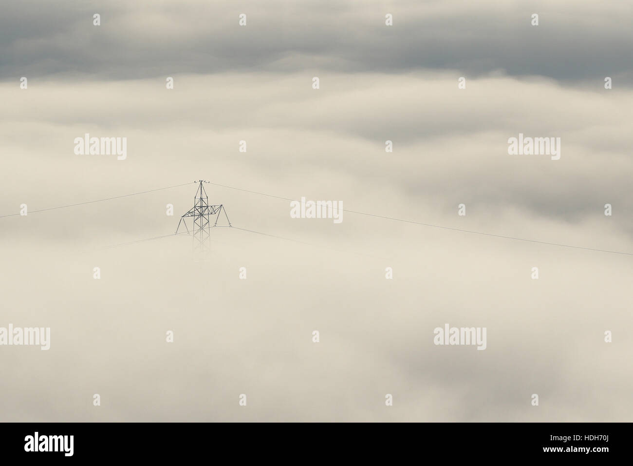 Luftbild von Stromleitungen und Pylonen spähte aus Winternebel Stockfoto
