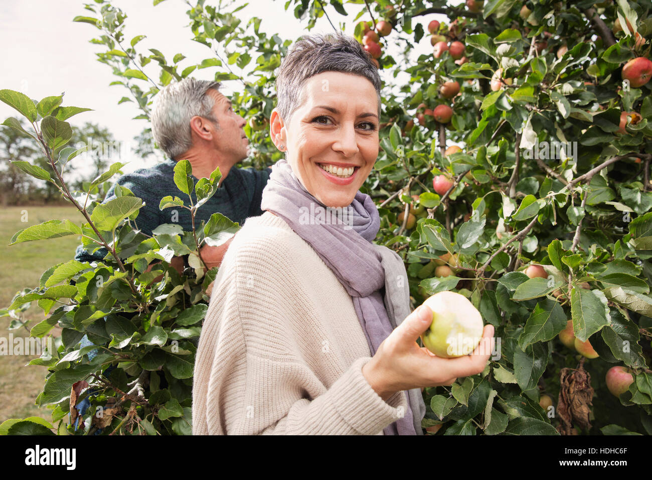 Porträt der glückliche Frau Essen Apfel im Obstgarten Stockfoto