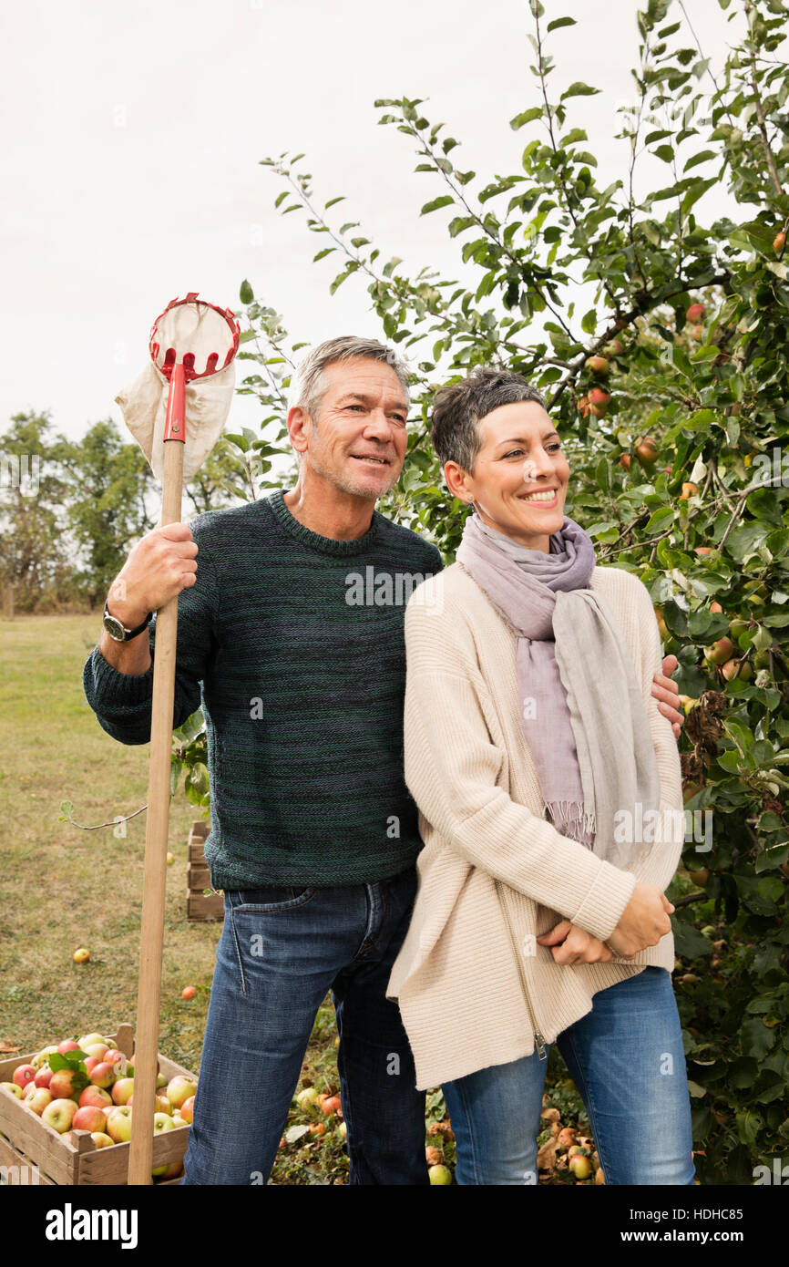 Brautpaar stehend mit Frucht-Picker im Apfelgarten Stockfoto