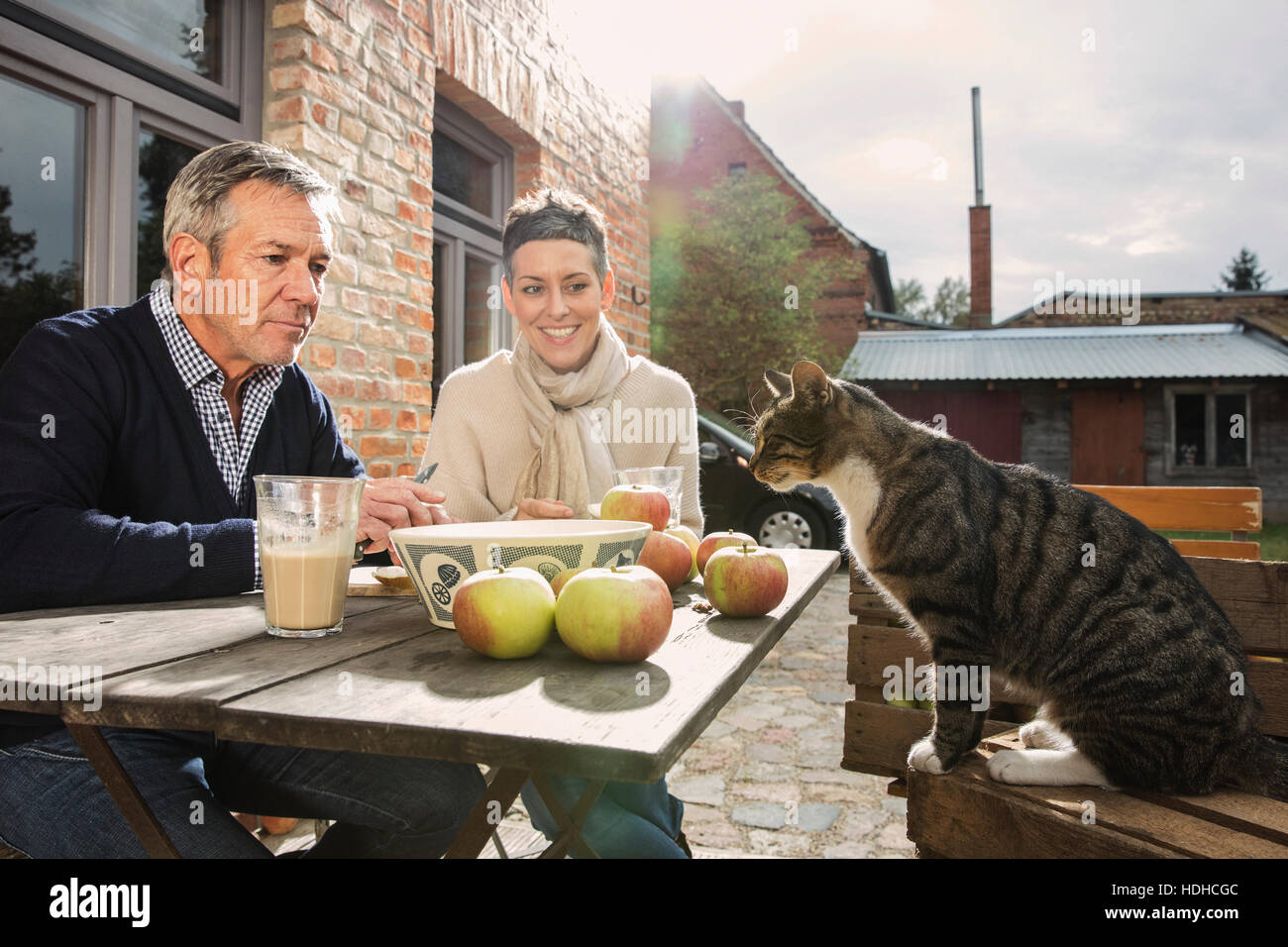 Paar auf der Suche bei Tabby Katze sitzend im Hinterhof Stockfoto