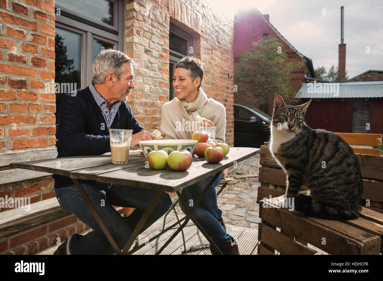 Glückliches Paar Äpfel essen während Tabby Katze auf Kiste im Hinterhof sitzt Stockfoto