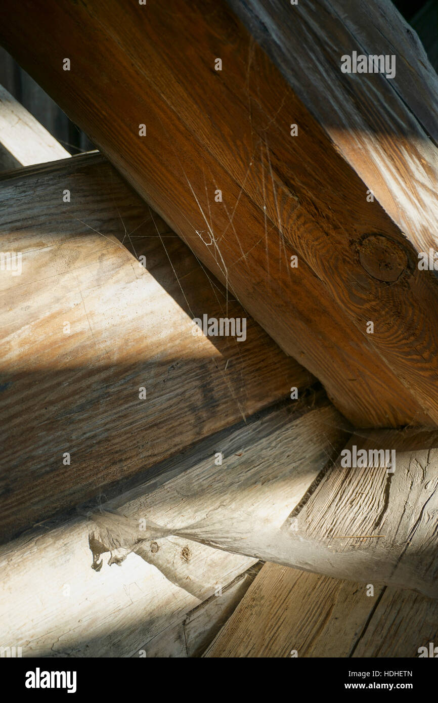 Nahaufnahme der Spinnennetz auf Holz. Stockfoto