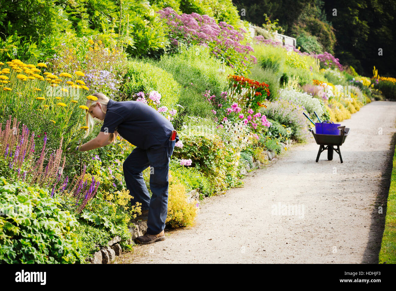 Zwei Gärtner arbeitet an einem gemischten Beet Blumen Waterperry Gardens in Oxfordshire. Stockfoto