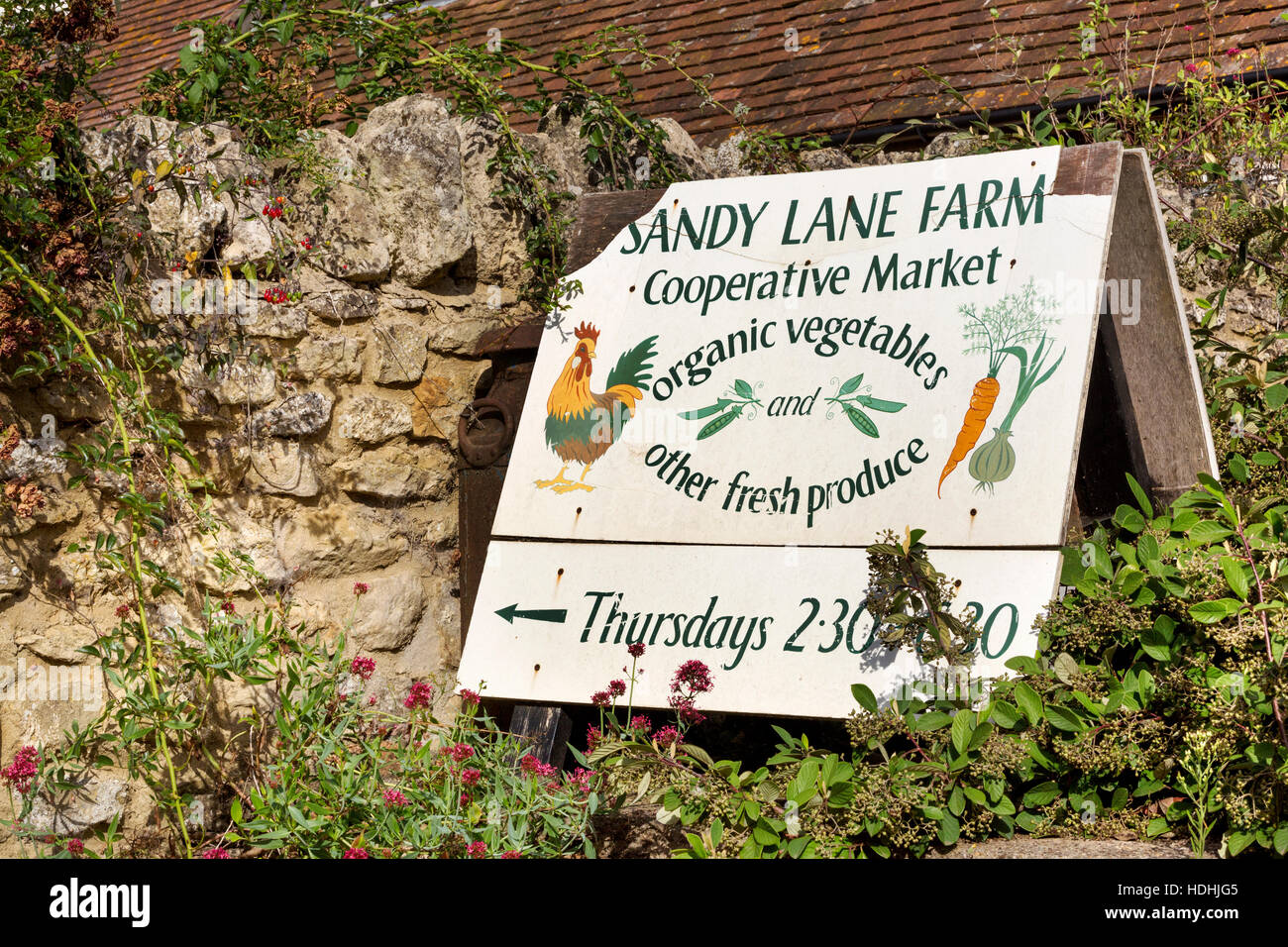 Ein Zeichen, Sandy Lane Farm, eine kleine ländliche Unternehmen und kooperative Marktplatz für Bio-Gemüse und Zutaten. Stockfoto