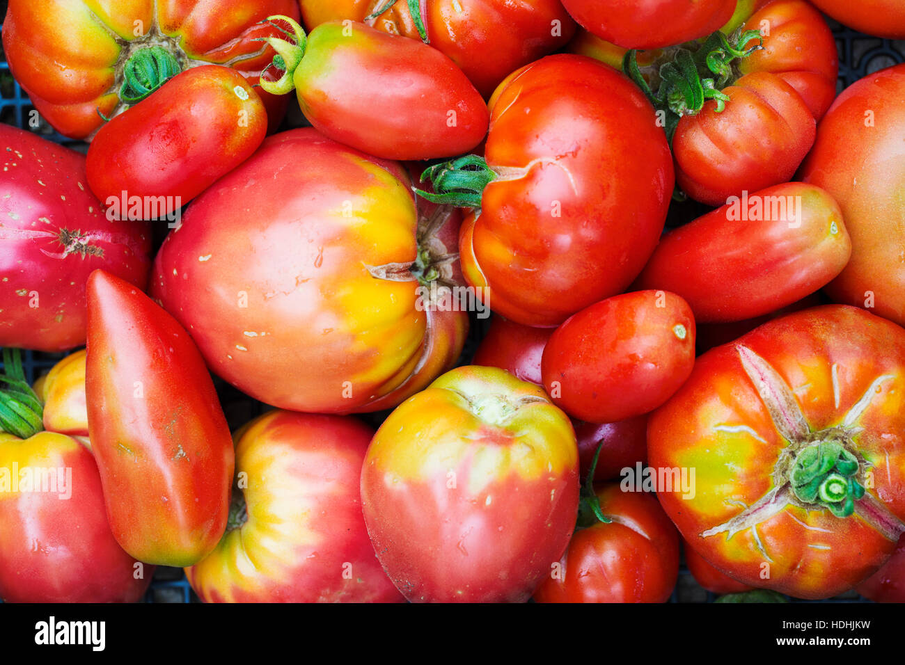 Tomaten in verschiedenen Formen und Größen Stockfoto