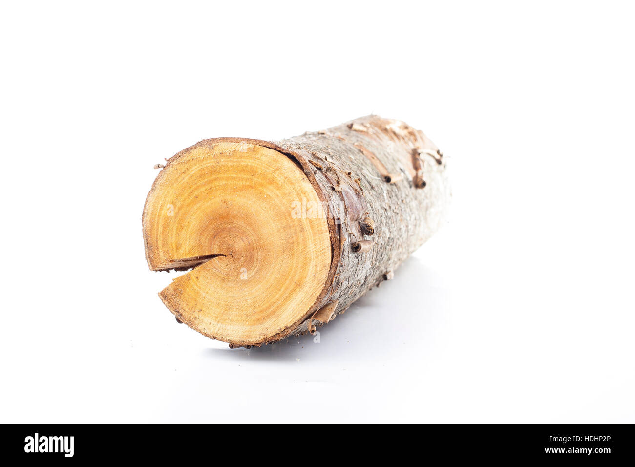 Kiefer meldet sich auf weißem Hintergrund. Studio Foto. Gespalten Sie Holz. Eiche für Heizung im Winter Zeit. Querschnitt des Baumstammes. Brennholz Stockfoto