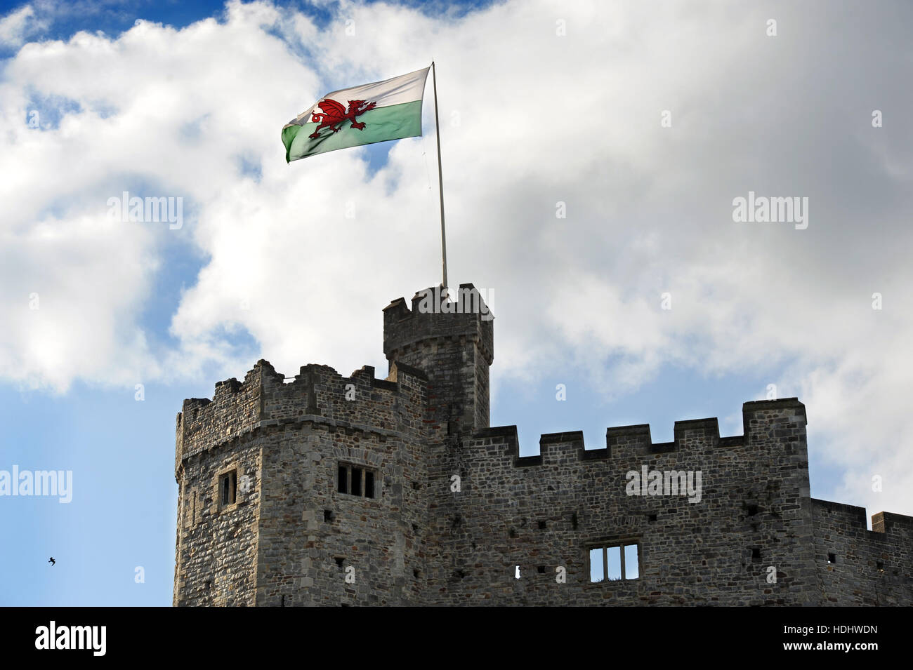 Die walisische Flagge über Cardiff Castle, Großbritannien Stockfoto