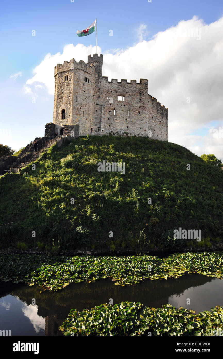 Die walisische Flagge über Cardiff Castle, Großbritannien Stockfoto