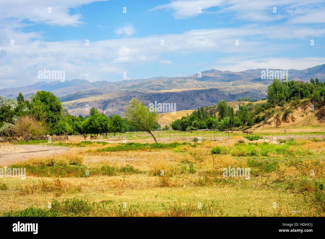 Steppe, Wiesen und Hügeln in Kasachstan, zentrale asiatische Landschaft Stockfoto