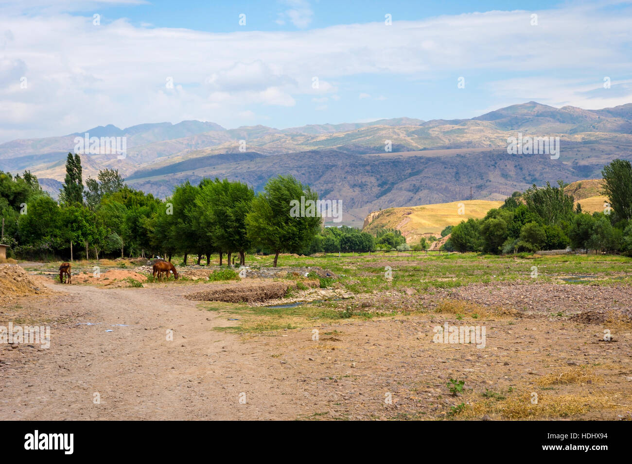 Pferde in der Steppe, Wiesen und Hügeln in Kasachstan, zentrale asiatische Landschaft Stockfoto